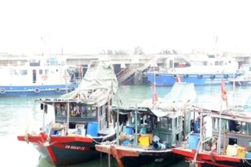 Khai thác thủy sản bằng ngư cụ cấm trong vùng lõi vịnh Hạ Long