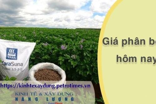 Giá phân bón hôm nay 31/3: Kali Canada ổn định