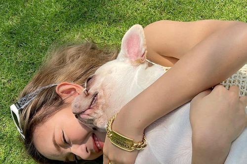Cún cưng đáng yêu của 'nàng dâu hào môn' Tăng Thanh Hà và Châu Bùi