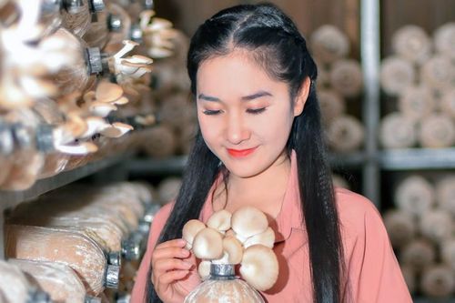 Cô gái miền Tây xinh đẹp mở trang trại màu sắc rực rỡ, mỗi tháng thu bộn tiền
