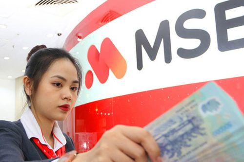 Người gửi tiền mất gần 340 tỷ ở MSB; Shark Thủy bị nhấn chìm bởi nợ nần