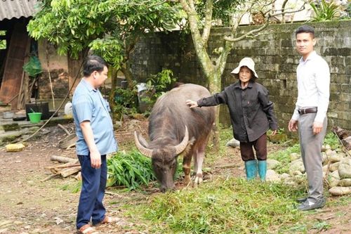 Nỗ lực thực hiện dự án giảm nghèo và cận nghèo