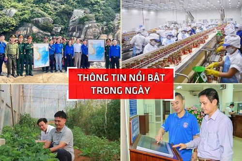 Nghệ An: Thông tin nổi bật ngày 31/3