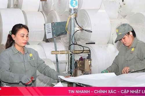 Hơn 56% doanh nghiệp chế biến, chế tạo dự báo sản xuất, kinh doanh tốt