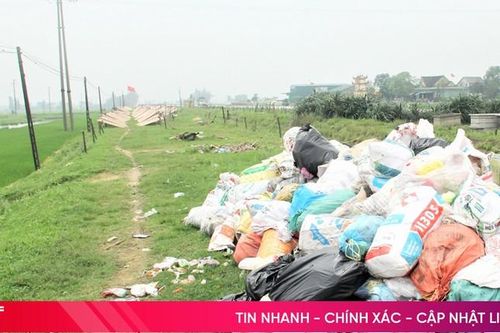 Phơi bánh đa nem cạnh bãi tập kết rác