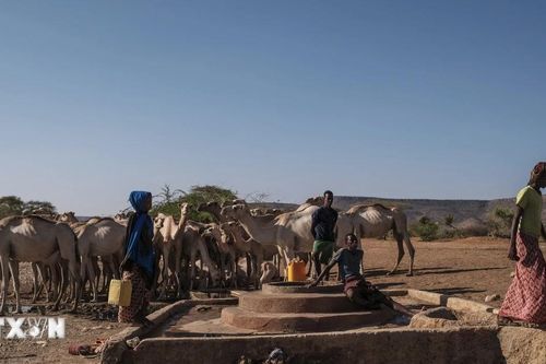 WB tài trợ 340 triệu USD cho người dân Ethiopia bị ảnh hưởng bởi hạn hán