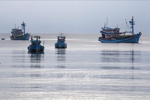 Gia tăng lợi nhuận cho hoạt động khai thác xa bờ
