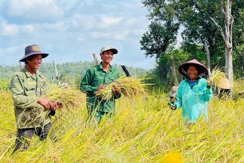 Người nông dân hồi sinh vùng 'đất khát'