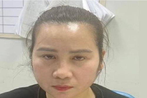 Sa lưới sau 15 năm trốn nã lừa dối sang tên nhà đất