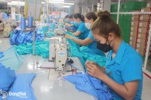 Tín hiệu đáng mừng cho thị trường lao động