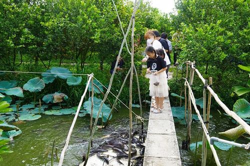 Khai thác tiềm năng, đưa du lịch trở thành ngành kinh tế quan trọng