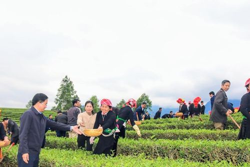 Điều tra dư luận xã hội về 'Tình hình tư tưởng và đời sống của người dân ở các xã hoàn thành xây dựng nông thôn mới'