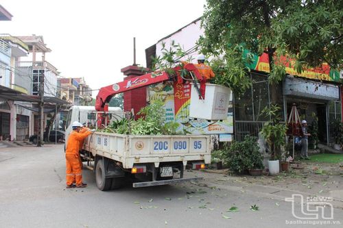 Bảo vệ hành lang an toàn lưới điện