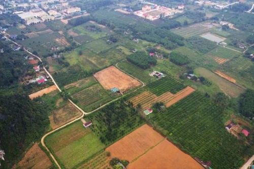 Nghệ An: Công bố Đồ án quy hoạch xây dựng Khu hành chính huyện Con Cuông