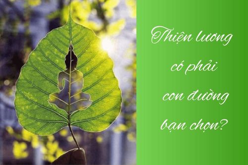 Thiện lương có phải con đường bạn chọn?