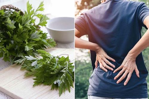 Cách chế biến rau ngải cứu giúp trị bệnh xương khớp, khắc phục đau đầu