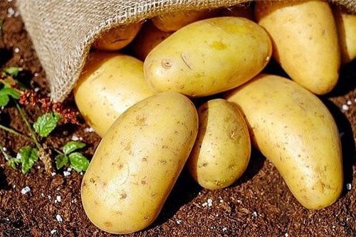 Lợi ích tuyệt vời của khoai tây với sức khỏe