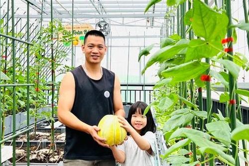 Ông bố ở Hà Nội chi nửa tỷ đồng làm vườn rau sân thượng