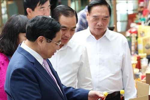 Xây dựng Phú Quốc thành trung tâm dịch vụ, du lịch sinh thái chất lượng cao