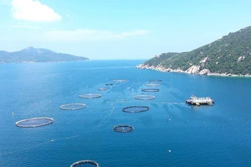 Tháo gỡ điểm nghẽn để nuôi biển vươn xa bờ