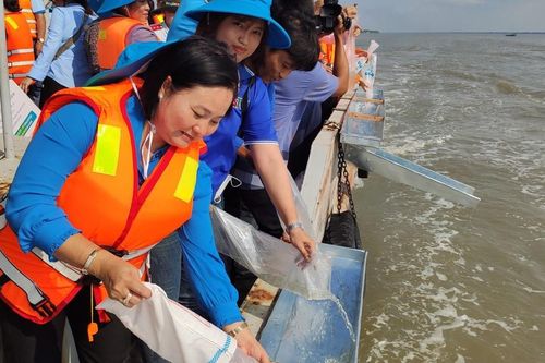 Sóc Trăng thả hai triệu con tôm sú giống về tự nhiên