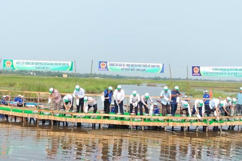 Phục hồi và phát triển hệ sinh thái đất ngập nước Sông Đầm