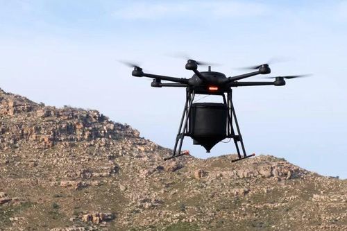 AI- Giải pháp chống biến đổi khí hậu toàn cầu