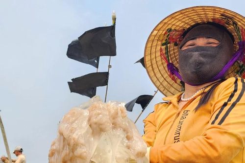 Ngư dân Hà Tĩnh vào mùa thu hoạch sứa biển