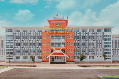 Trường CĐ-ĐH địa phương: Cuộc đua 'hồi sinh'