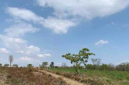 Vụ gần 400ha rừng bị suy giảm: Chủ yếu bị phá, chiếm đất làm rẫy