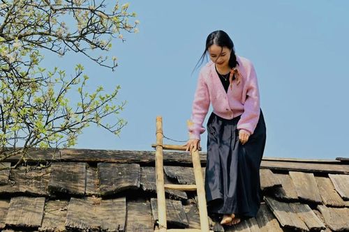 Du khách leo nóc nhà, săn ảnh hoa sơn tra 'view triệu đô' ở Sơn La