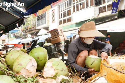 Thời tiết chuyển nắng, hoa quả giải nhiệt tăng giá 'nóng'