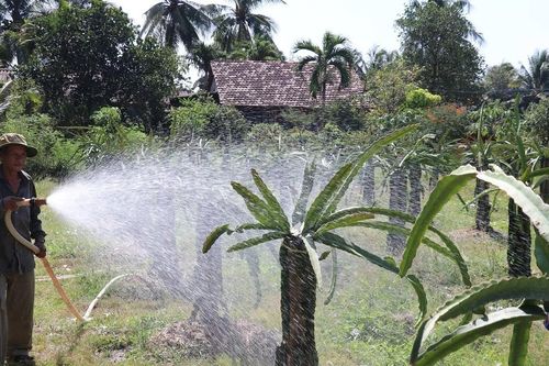 Tiền Giang: Mở các vòi nước công cộng hỗ trợ người dân đối phó với hạn, mặn