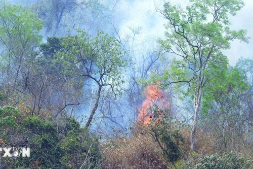 Sơn La: Cơ bản khống chế vụ cháy rừng thông tại huyện Thuận Châu