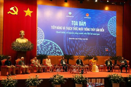 Chưa khai thác hết tiềm năng nhiều khu nuôi biển