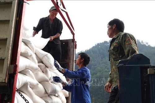Trường học vùng cao không còn phải đi 'vay gạo'