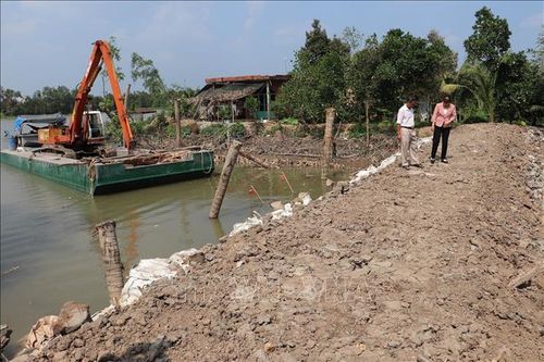 Vùng chuyên canh cây ăn quả phòng chống hạn, mặn