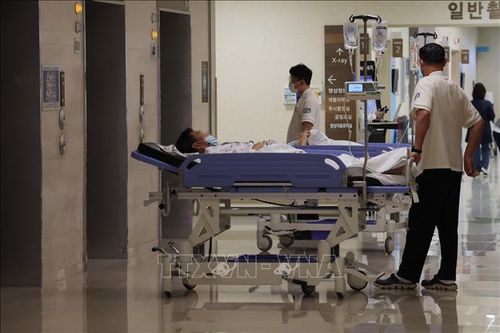 Giáo sư y khoa giảm giờ làm, nhiều bệnh viện tại Hàn Quốc 'lao đao'