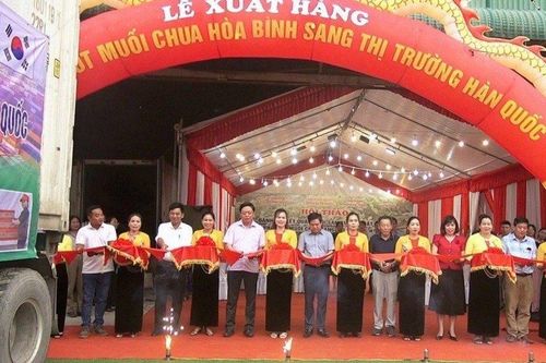 Hòa Bình: Xuất khẩu trên 7 tấn ớt muối chua sang thị trường Hàn Quốc