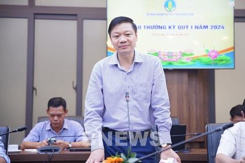 Chia sẻ lợi ích 51,5 triệu USD từ bán tín chỉ carbon rừng