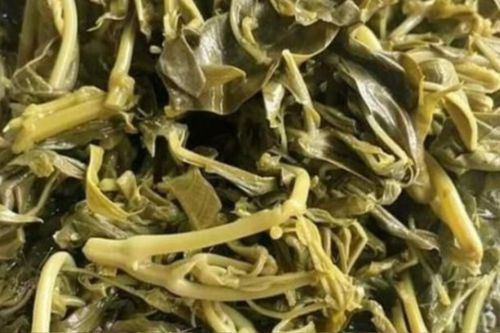 Loại rau xưa cho gà vịt ăn, giờ thành đặc sản, dân thành phố mua 65.000 đồng/kg