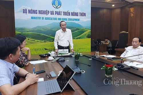96,5% tiền từ chuyển nhượng tín chỉ carbon sẽ phân bổ hết về cho các địa phương