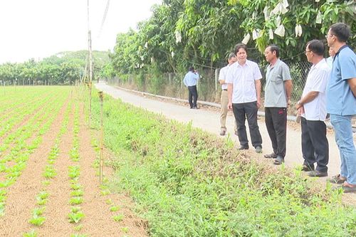Triển khai mô hình điểm 'Nông dân tái sử dụng rác thải sinh hoạt hữu cơ'