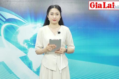 Gia Lai 24h: Ra quân điều tra dân số và nhà ở giữa kỳ năm 2024