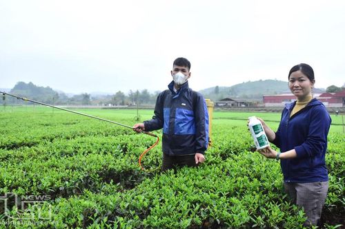 Hỗ trợ nông dân tiếp cận, sử dụng phân bón hữu cơ
