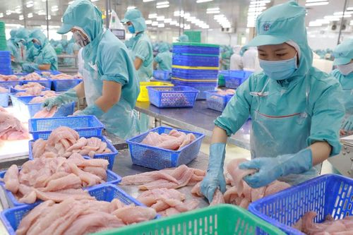Đa Quốc gia IDI: Tự tin đặt mục tiêu lãi ròng năm nay tăng gấp 3 lần