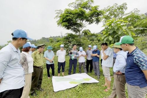 Hiệu quả lớn từ chương trình 'Góp một cây để có rừng' do VARS khởi xướng