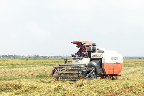 'Chìa khóa' phát triển nông nghiệp theo chuỗi liên kết hàng hóa cho hiệu quả vượt trội ở Triệu Phong