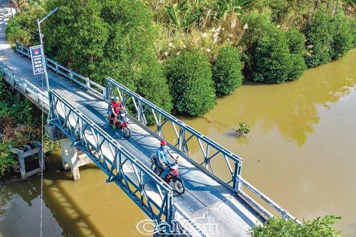Những ánh đèn tuổi trẻ