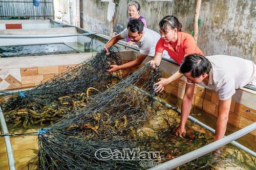 Vươn lên nhờ vốn tín dụng